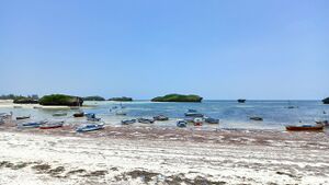 Tourism theme, Watamu beach.jpg