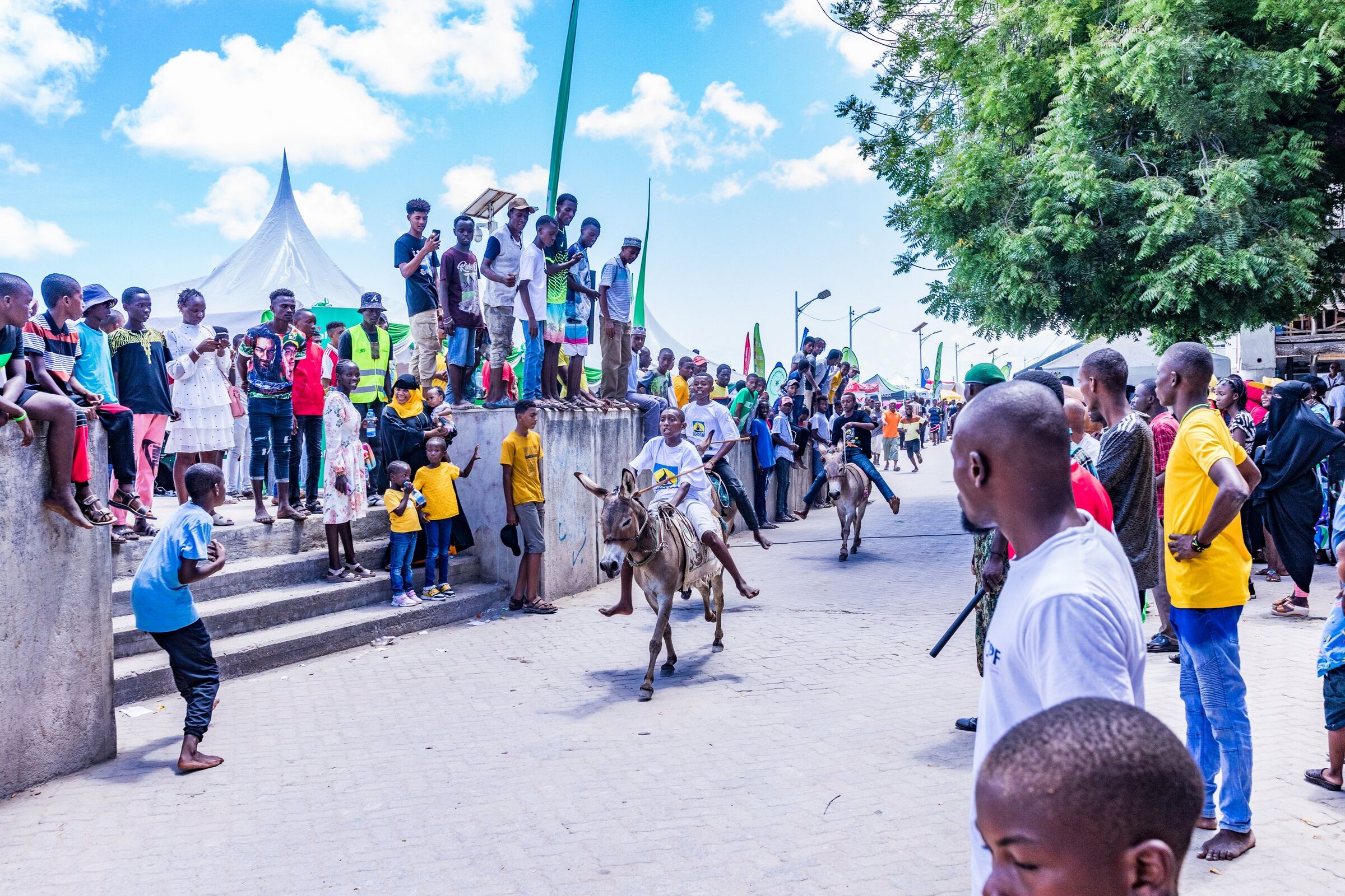 A rider on a donkey races down a Lamu street lined with cheering crowds during the Lamu Cultural Festival.