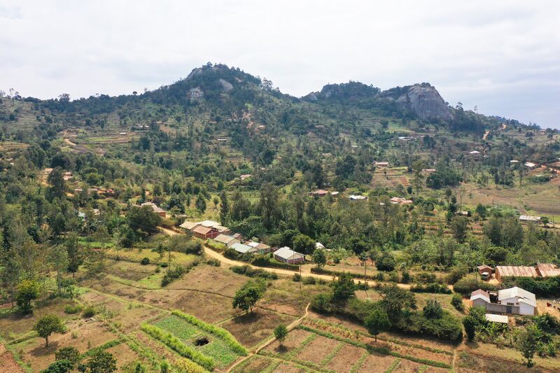 File:Agriculture theme, Mwasanje hill farms, Taita Hills.jpg