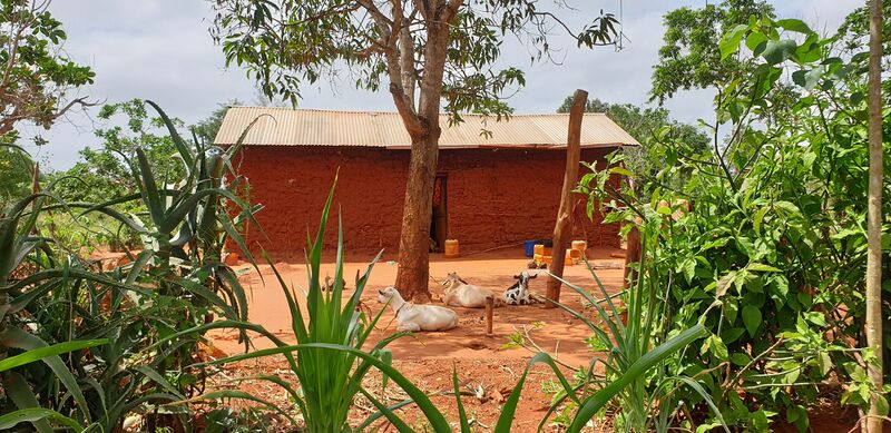File:Housing theme, Kilifi homestead.jpg